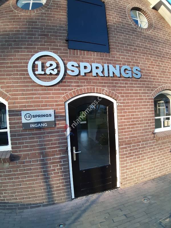 12SPRINGS Trampolines