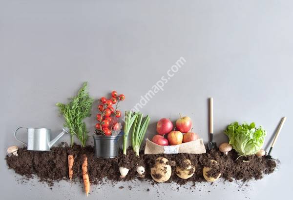 Academie Kraaybeekerhof