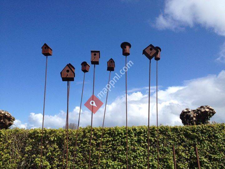 Acupunctuur Groningen