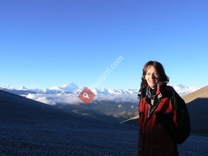 Acupunctuur Molenhoek