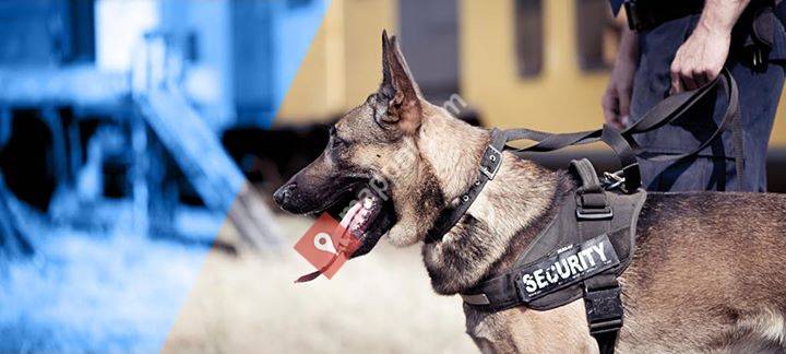 Andor Security