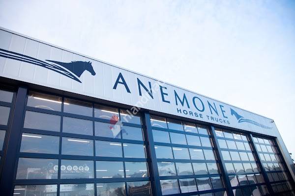 Anemone Horse Trucks