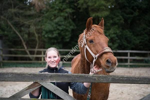 AniCura Dierenkliniek Helmond Stiphout