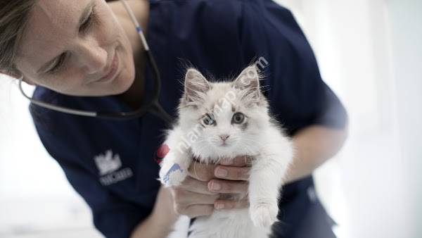AniCura Dierenkliniek Kennemerland Velserbroek