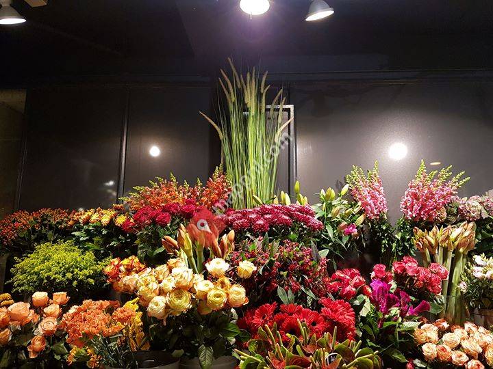 Anne-moon    tijd voor bloemen