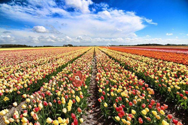 Appartement De Witte Brug