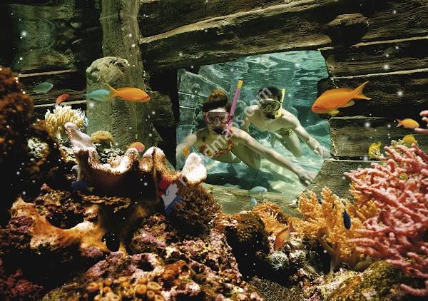 Aqua Mundo Center Parcs De Kempervennen