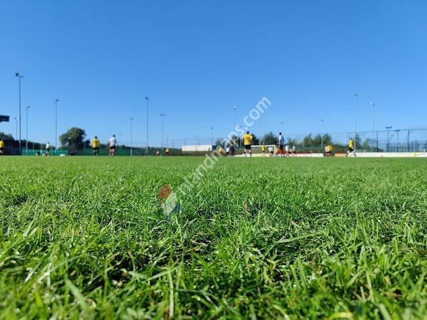 Arnhemse Boys Schuytgraaf