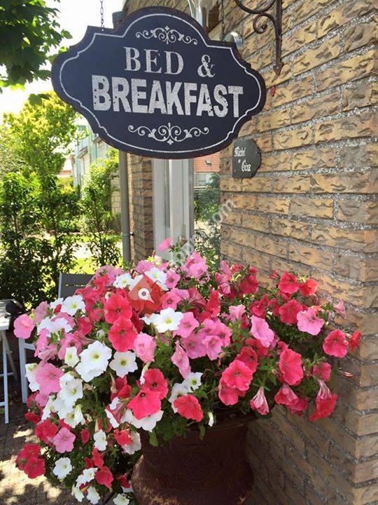 B&B De Koog Texel