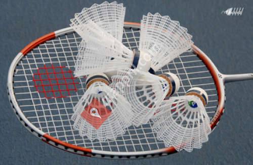 Badmintonclub Streefkerk