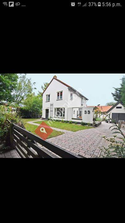 Balsemientexel