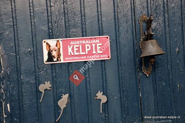 Bed and Breakfast Kelpiebrink