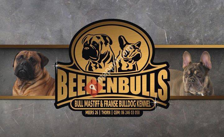 Beerenbulls Bullmastiffs