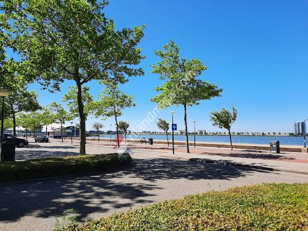 Binnenschelde Strand