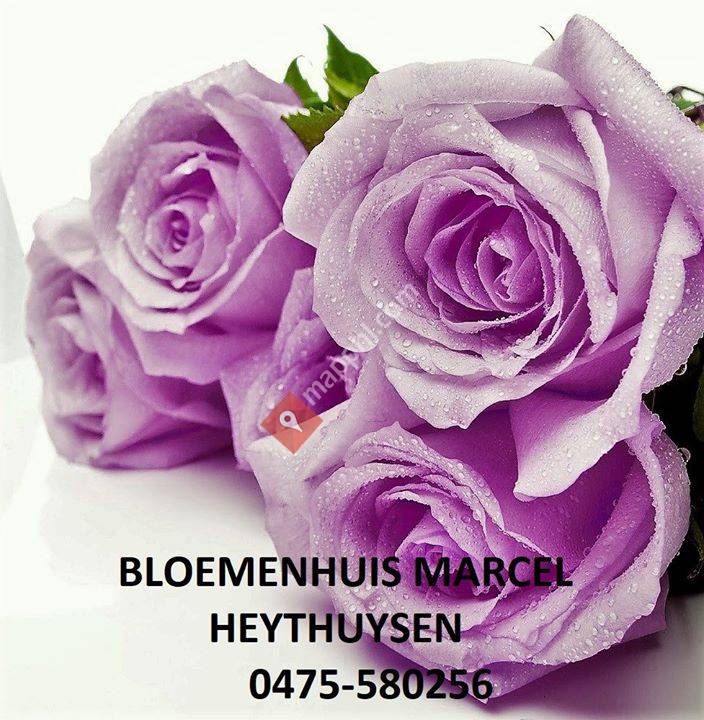 Bloemenhuis Marcel Heythuysen