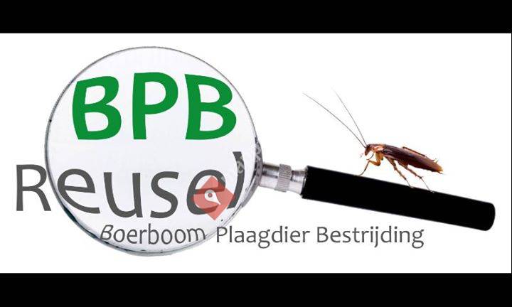 Boerboom Plaagdier Bestrijding Reusel