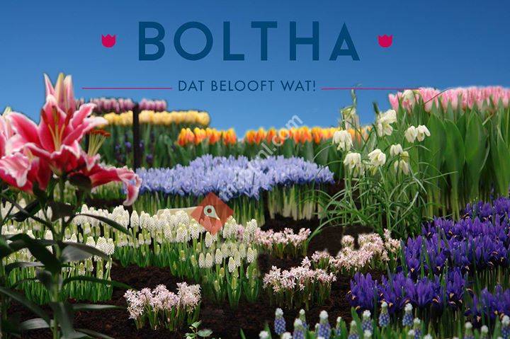 Boltha BV