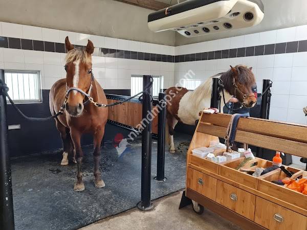 Bomers Dierfysiotherapie B.V.