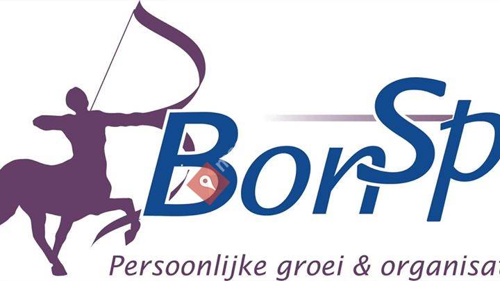 BonSpirit - persoonlijke groei en organisatieontwikkeling