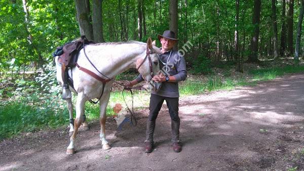 Boomkwekerij Udenhout BV