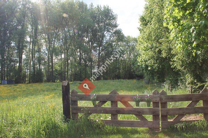 BUUT- pastoraat, therapie en bezinning