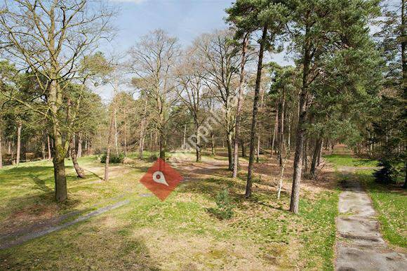 Camping Schouteveld