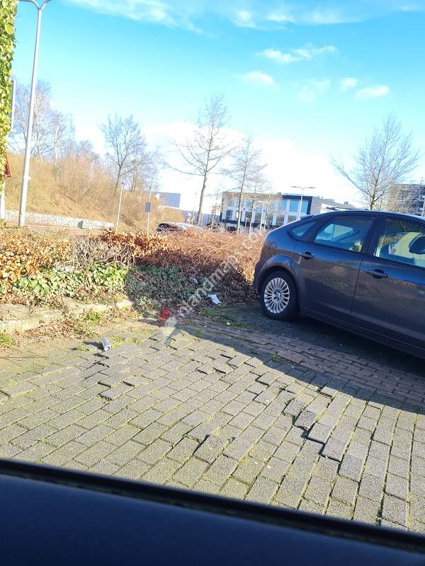 Carpool Deventer Maagdenburgstraat