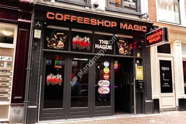 Coffeeshop Magic Highlife + Jack Herrer cup-winner