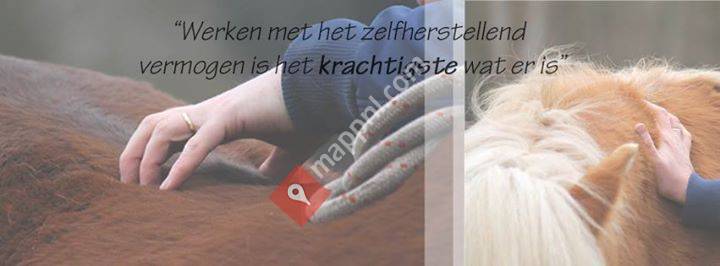 Crystal Vision - Behandelingen voor mens & paard