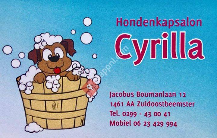 Cyrilla hondenkapsalon