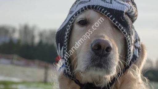 DAC de Stellingwerven