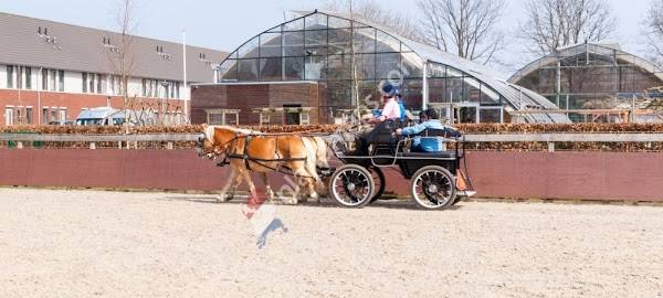 Dagbesteding Manege Craeyenburch - Ipse de Bruggen