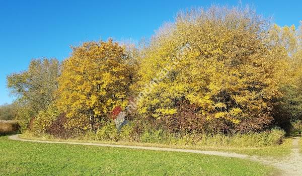 Dagkampeerterrein Geestmerambacht