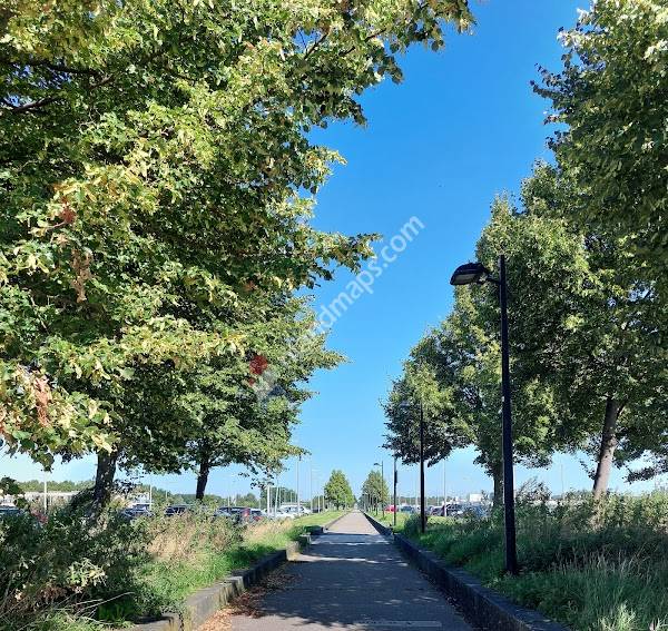 Dakparkeerplaats station Barendrecht