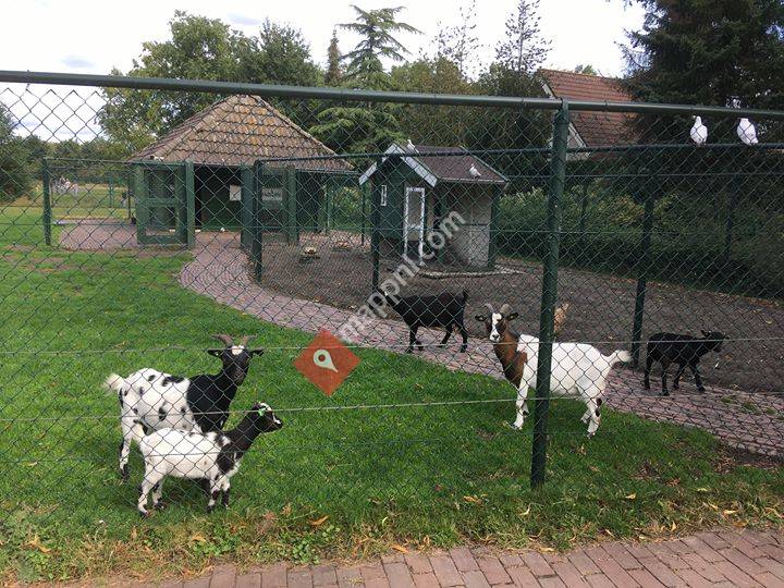 De Bunderij, dierenweitje Bavel