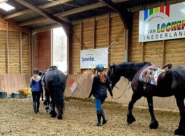 De Friezen Hendrikse Stal Bellesteyn