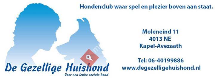 De Gezellige Huishond