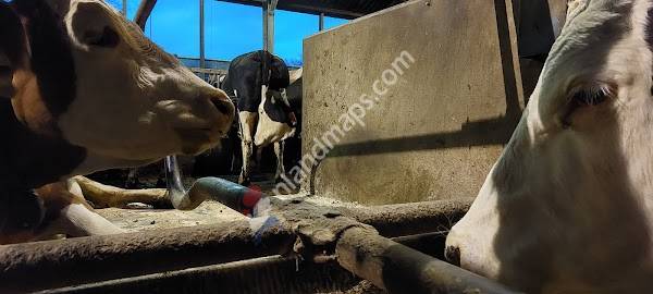 De Koel'nbekke Workshops