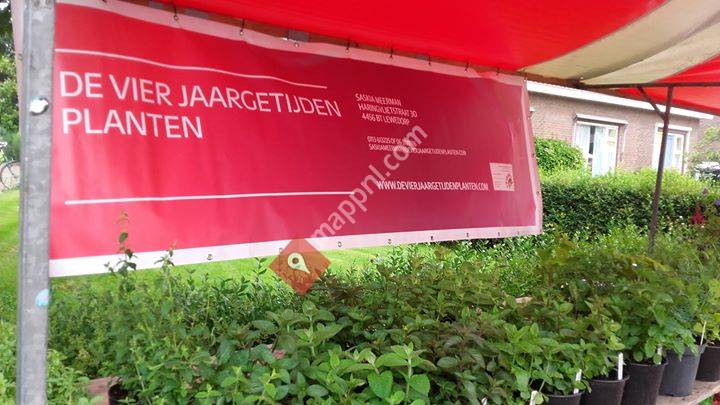 De Vier Jaargetijden Planten