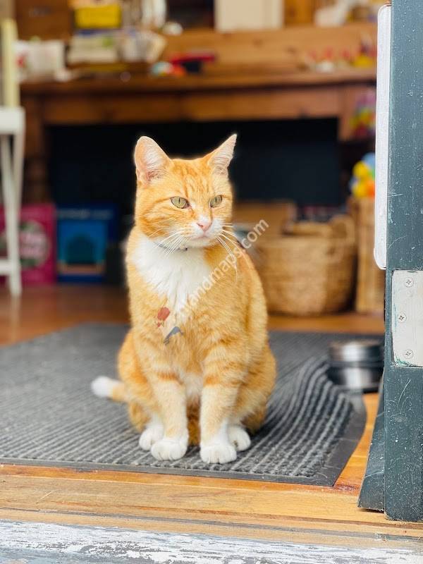 De Zandhoek, goed gebruikt of zelf gemaakt