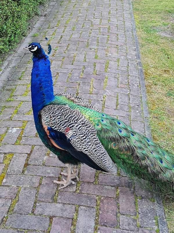 DELA Eikelenburg | crematorium en begraafplaats in Rijswijk