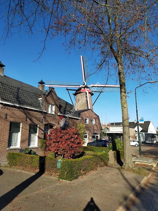 Den Dungese Molen