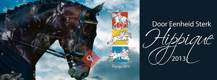 DES Hippique 2013