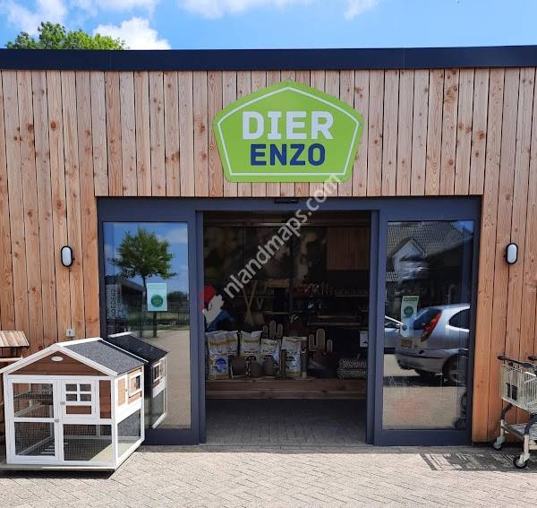 Dier Enzo - Grote Dierenwinkel