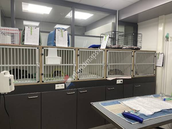 Dierenkliniek De Streek