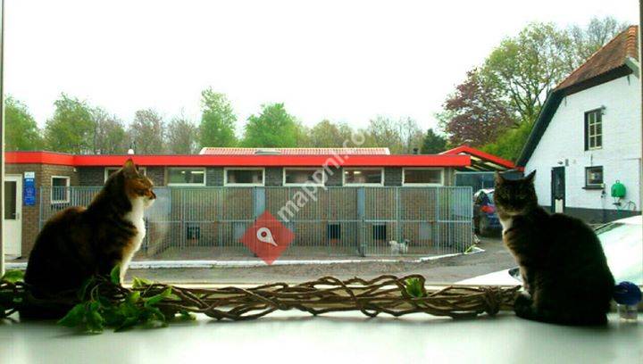 Dierenpension Drachten