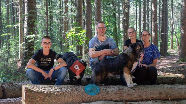 Dierenpension en hondenschool Knook