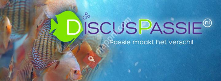 Discus Passie.nl