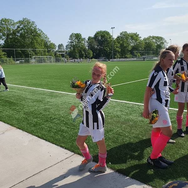 Dordrechtse Mixed Hockey Club DMHC