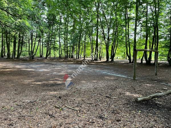 Drie Veldjes van Lievensberg